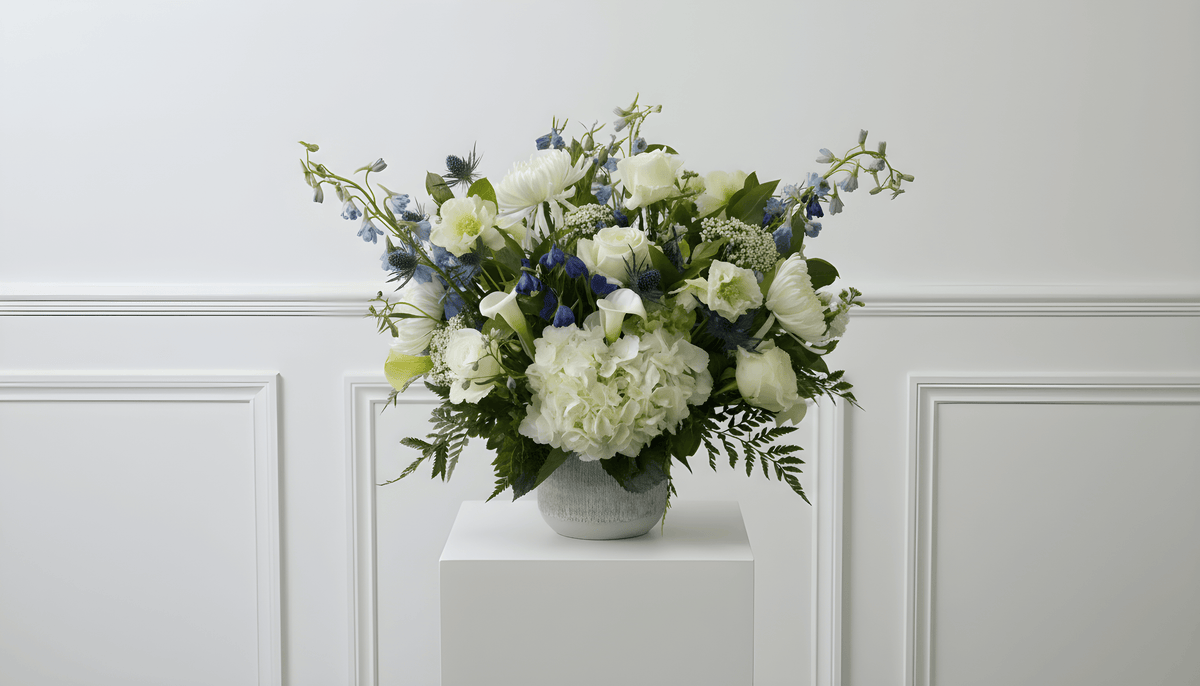 WHITE + BLUE