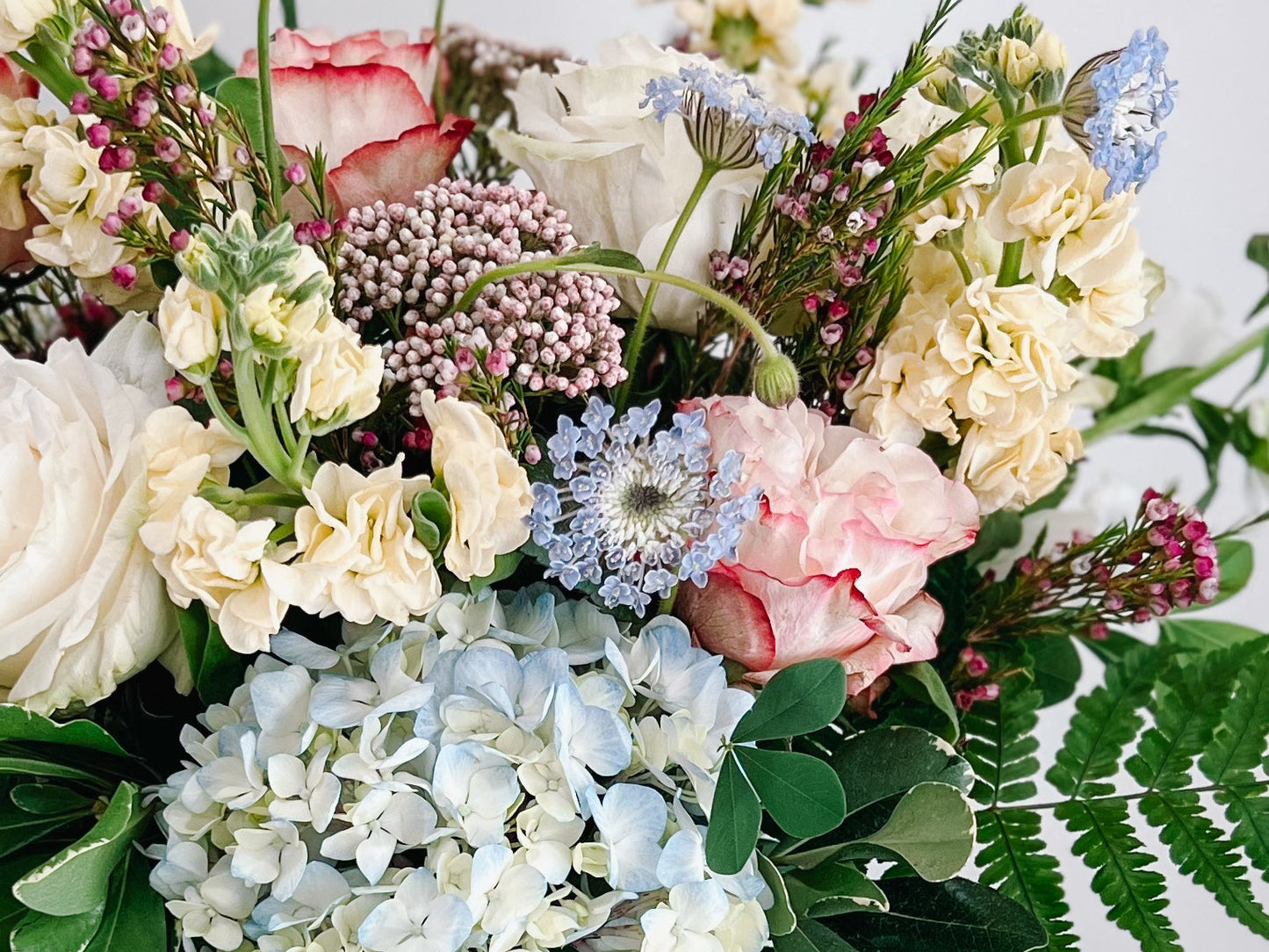 SOFT + PRETTY