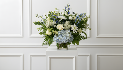 WHITE + BLUE