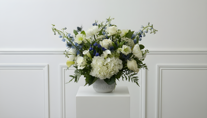 WHITE + BLUE