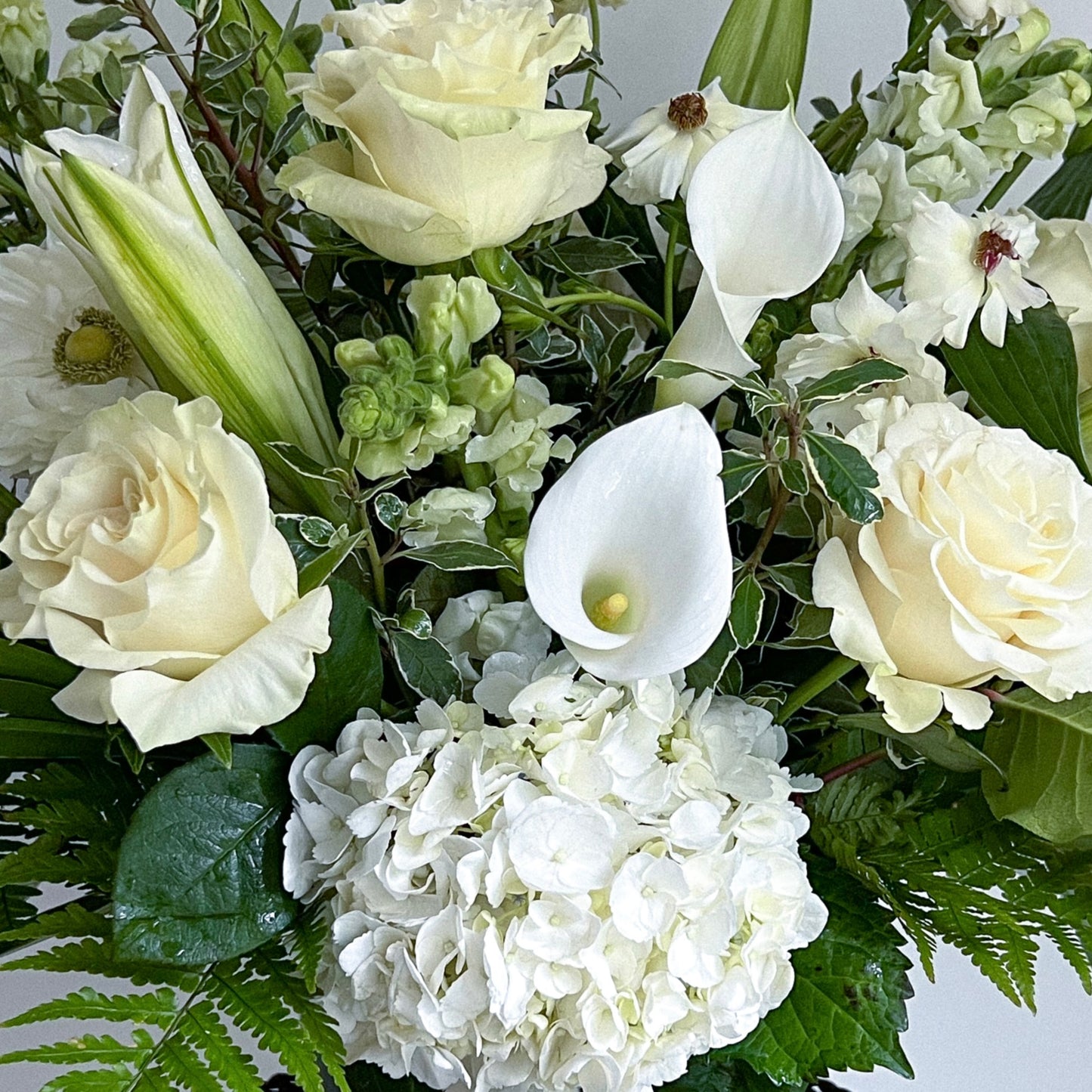 IVORY + GREEN