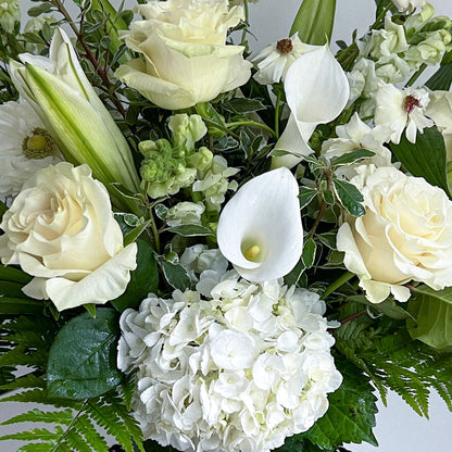 IVORY + GREEN