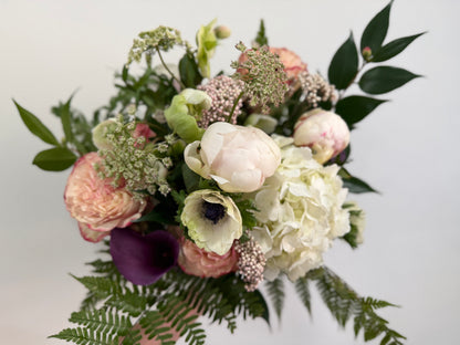 PETAL + PLUM