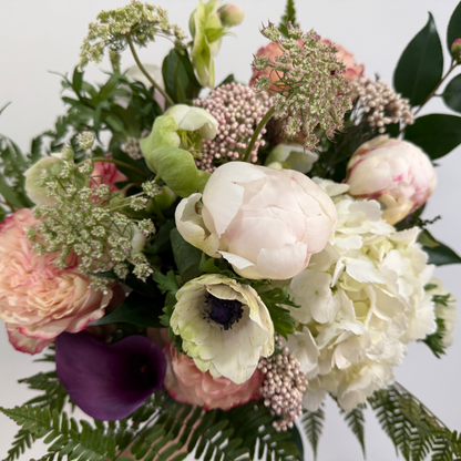 PETAL + PLUM