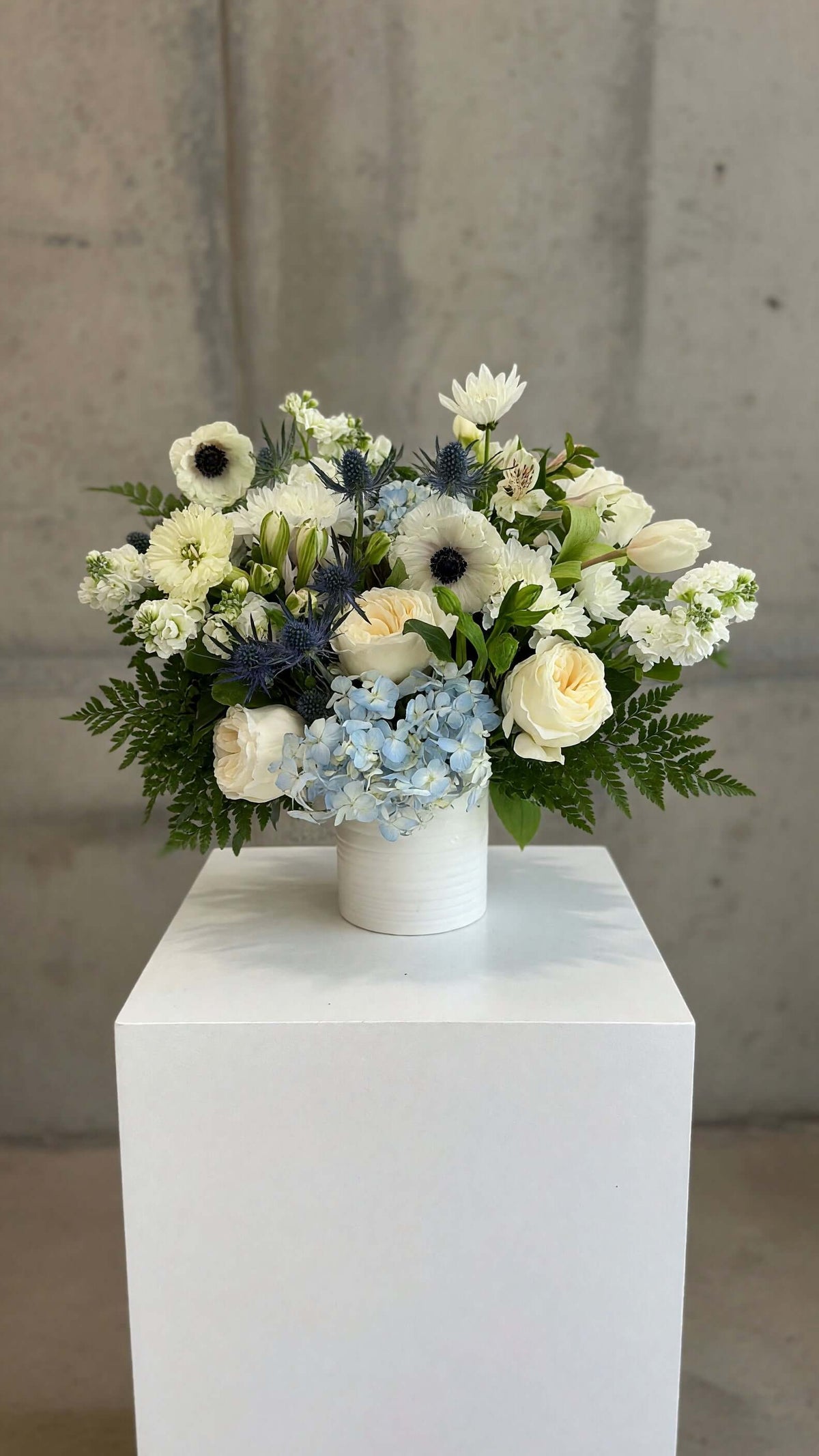 WHITE + BLUE