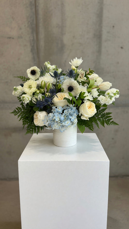 WHITE + BLUE