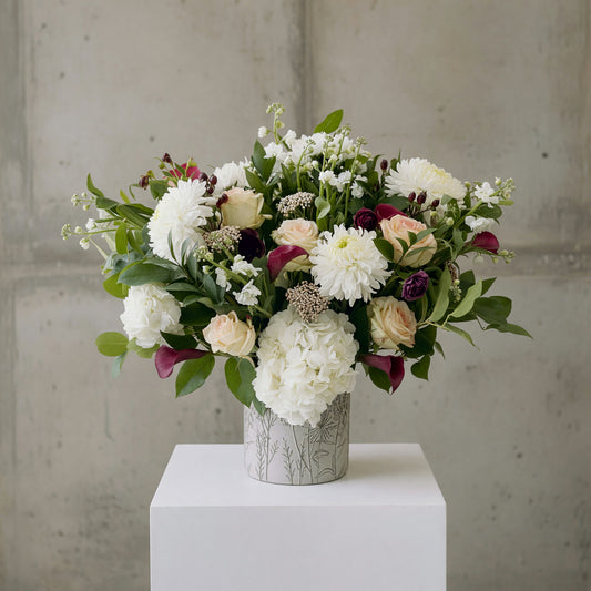 PETAL + PLUM