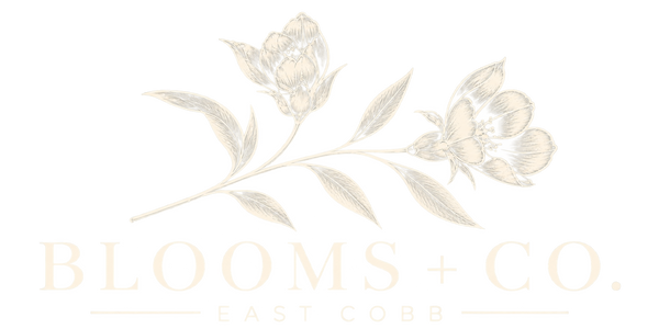 Blooms + Co.