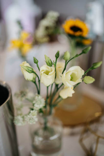 WHITE + GREEN BUD VASES